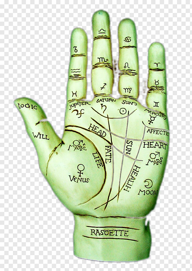 Palmistry